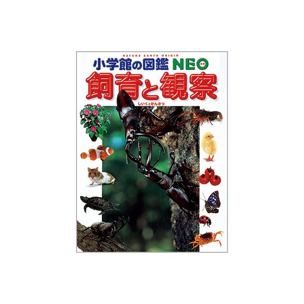 選べる 小学館の図鑑NEO 専用BOX付5冊セット 16種類から選べます 選べる 小学館の図鑑NEO 専用BOX付5冊セット 16種類から選べます