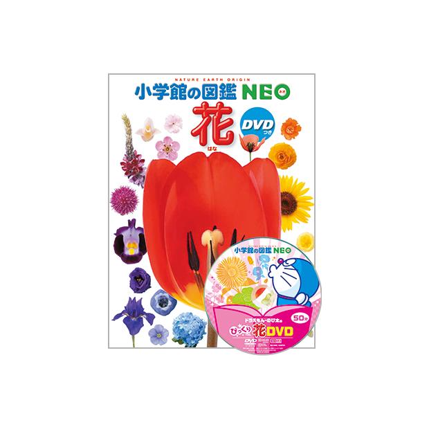 選べる 小学館の図鑑NEO 専用BOX付5冊セット 16種類から選べます 選べる 小学館の図鑑NEO 専用BOX付5冊セット 16種類から選べます