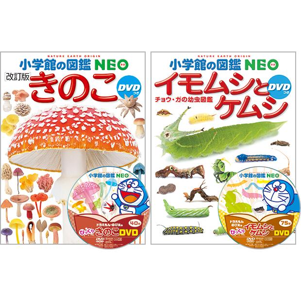 【おまけ付】選べる 小学館の図鑑NEO 専用BOX付5冊セット 25種類から選べます 新刊も｜yumetamago｜09