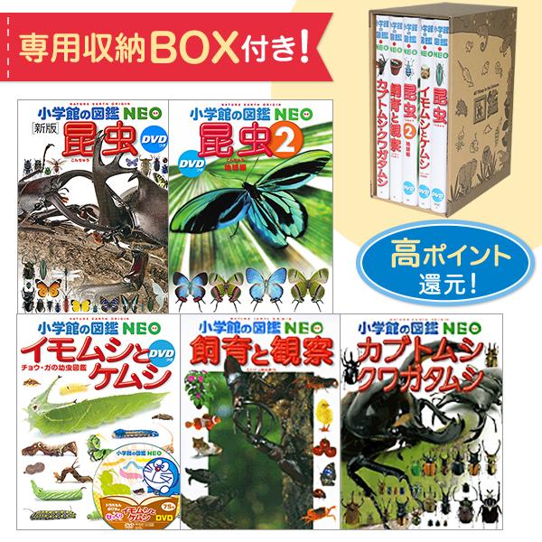 新しい到着 小学館の図鑑neo 専用box付きセット 昆虫 昆虫2 イモムシとケムシ 飼育と観察 カブトムシ クワガタムシ ゆめたまご Paypayモール店 通販 Paypayモール 新品本物 Www Htsstlucia Org