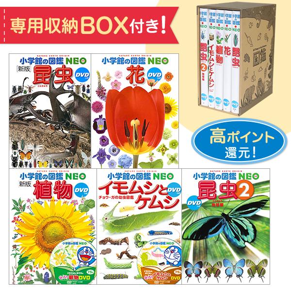 正規販売代理店 小学館の図鑑neo 専用box付きセット 昆虫 花 植物 イモムシとケムシ 昆虫2 お客様満足度no 1 Trackapi Menabytes Com