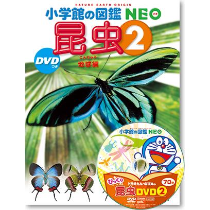 小学館の図鑑NEO 専用BOX付きセット 昆虫・花・植物・イモムシとケムシ