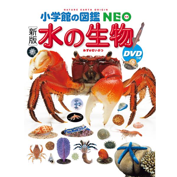 小学館の図鑑NEO［新版］水の生物　DVDつき（収納BOX付・送料無料・条件有）｜yumetamago｜03