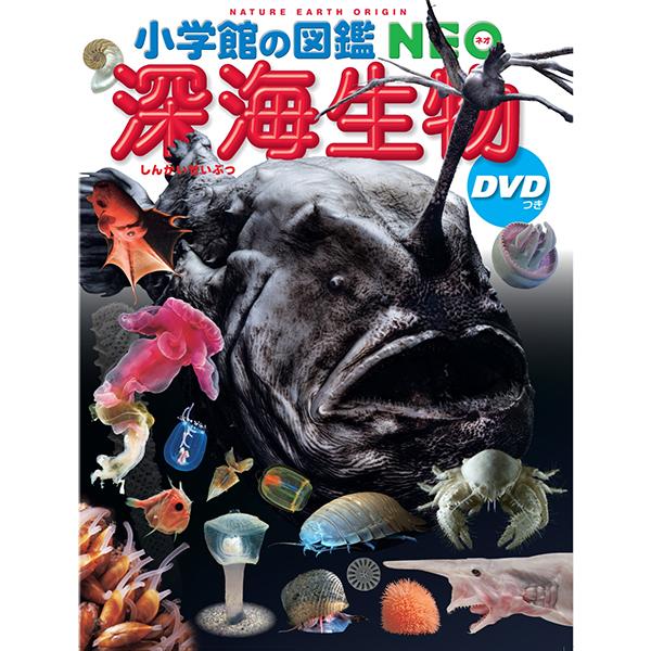 小学館の図鑑NEO　深海生物　DVDつき（収納BOX付・送料無料・条件有）｜yumetamago｜03