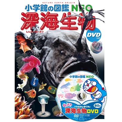 小学館の図鑑NEO　深海生物　DVDつき（収納BOX付・送料無料・条件有）｜yumetamago｜04