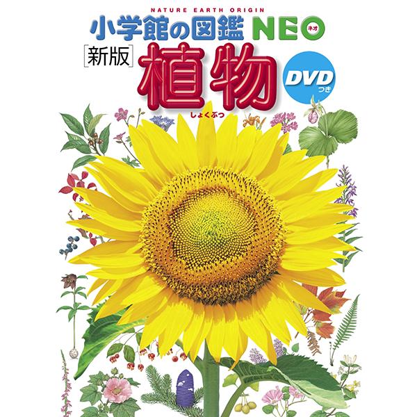 小学館の図鑑NEO［新版］植物 DVDつき（収納BOX付・送料無料・条件有