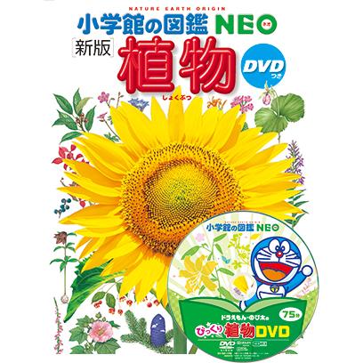 小学館の図鑑NEO［新版］植物 DVDつき（収納BOX付・送料無料・条件有