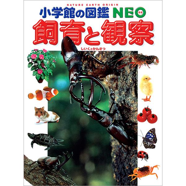 小学館の図鑑NEO 飼育と観察（収納BOX付・送料無料・条件有） : ゆめ
