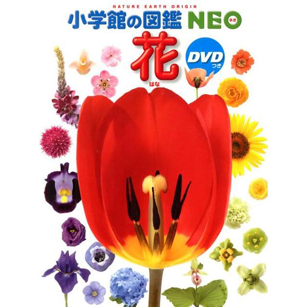 小学館の図鑑NEO 花 DVDつき（収納BOX付・送料無料・条件有） : ゆめ