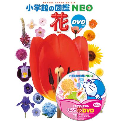 小学館の図鑑NEO 花 DVDつき（収納BOX付・送料無料・条件有） : ゆめ