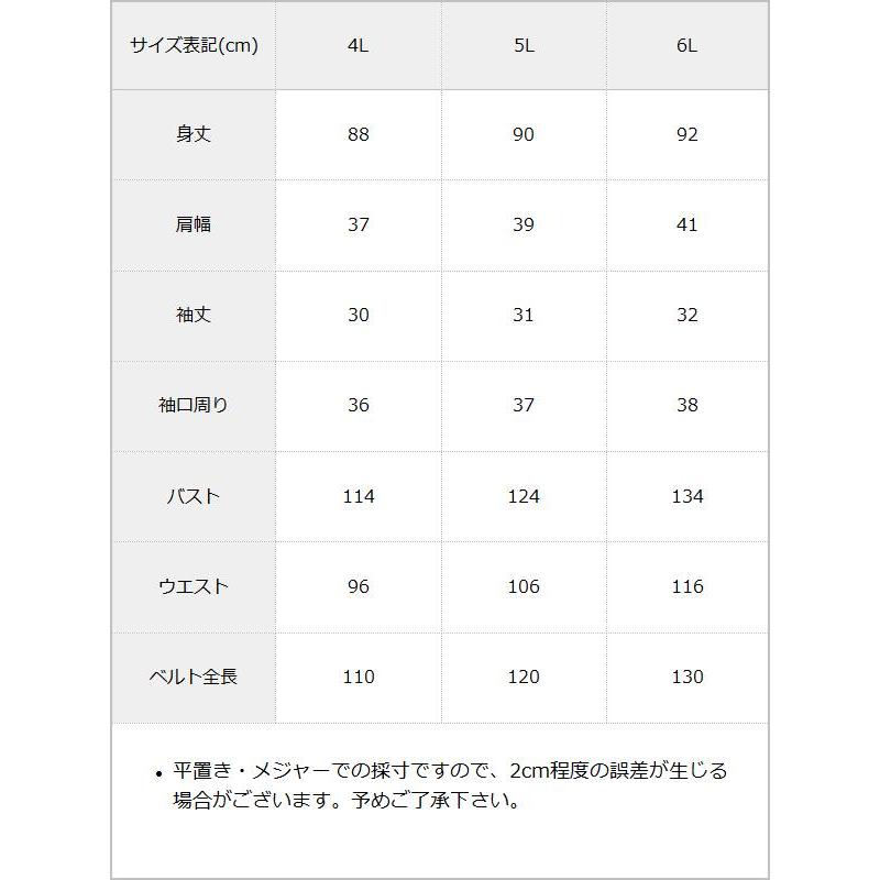 シャツワンピース レディース 半袖 夏 春 量産型 服 地雷系 4L 5L 6L 大きいサイズ DearMyLoveWh｜yumetenbo｜06