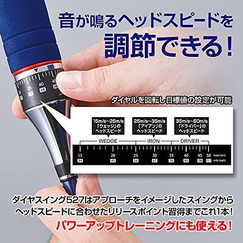 ダイヤ(DAIYA) スイング練習機 ゴルフ練習器 ダイヤスイング527 TR-527 両手 TR