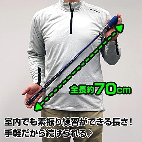 ダイヤ(DAIYA) スイング練習機 ゴルフ練習器 ダイヤスイング527 TR-527 両手 TR