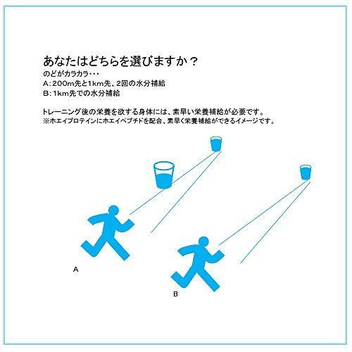 ゴールドジム(GOLDS GYM) CFMホエイプロテイン ミックスベリー風味 2kg 2キログラム