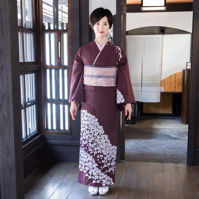 色留袖*袷着物 刺繍 梅模様 背紋有 灰色 正絹 入学卒業式結婚式 色留袖*袷着物 刺繍 梅模様 背紋有 灰色 正絹 入学卒業式結婚式