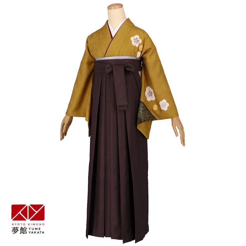 卒業式 袴レンタル 先生 教員 訪問着袴 フルセット 上品 金茶 菊に観世水 HG1158