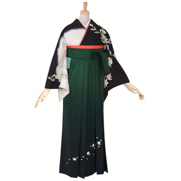卒業式 袴レンタル 先生 教員 訪問着袴 フルセット 上品 黒地白ぼかし　枝花 HG181_1