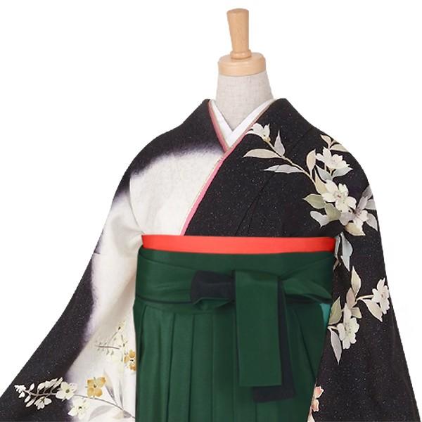 卒業式 袴レンタル 先生 教員 訪問着袴 フルセット 上品 黒地白ぼかし　枝花 HG181_2
