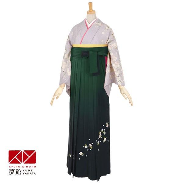 卒業式 袴レンタル 先生 教員 訪問着袴 フルセット 上品 うす藤　枝桜 HG188