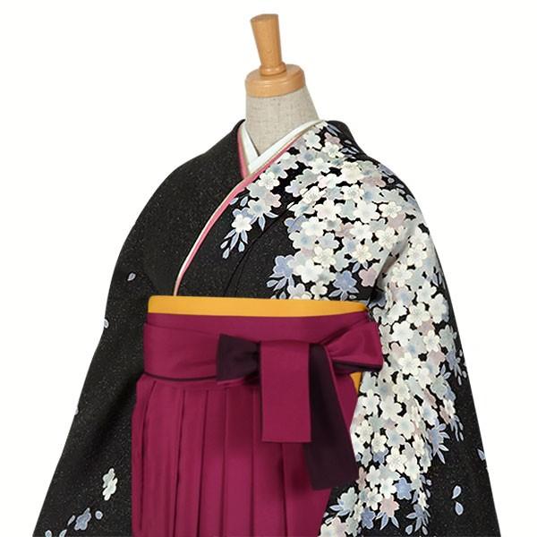 卒業式 袴レンタル 先生 教員 訪問着袴 フルセット 上品 銀ラメ　黒　枝垂桜 HG202_2
