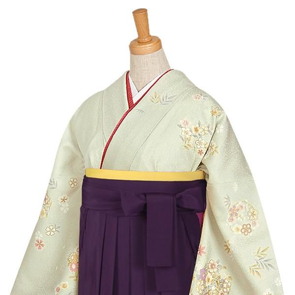 卒業式 袴レンタル 先生 教員 訪問着袴 フルセット 上品 グリーン　雲取りぼかし梅花文 HG265_2