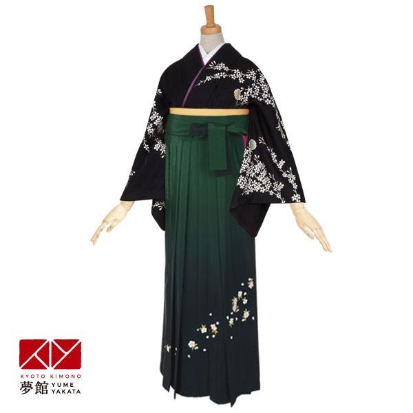 卒業式 袴レンタル 先生 教員 訪問着袴 フルセット 上品 黒　夜桜（H658） HG310