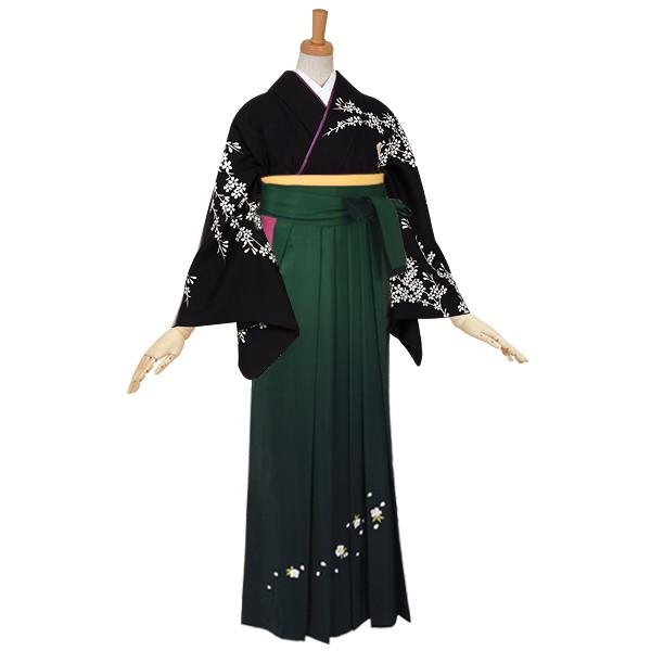 卒業式 袴レンタル 先生 教員 訪問着袴 フルセット 上品 黒　夜桜（H658） HG310_1