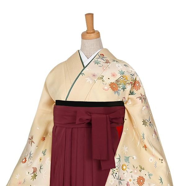 卒業式 袴レンタル 先生 教員 訪問着袴 フルセット 上品 クリーム　露芝吹き寄せに扇面 HG313_2