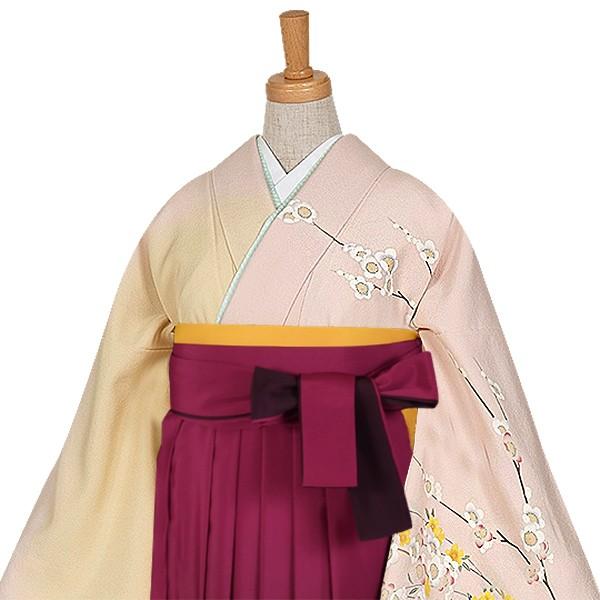 卒業式 袴レンタル 先生 教員 訪問着袴 フルセット 上品 ピンク・クリーム　白梅しだれ黄桜 HG317_2