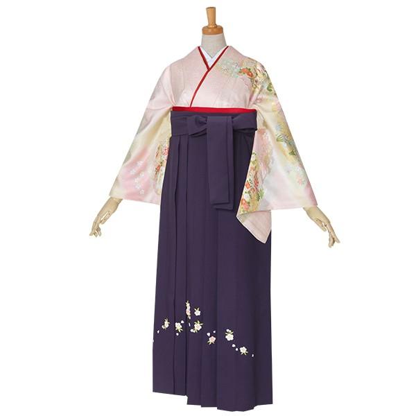 卒業式 袴レンタル 先生 教員  ピンク 雲取り貝桶文様（ｗ）（H640）上品 訪問着袴セット HG645