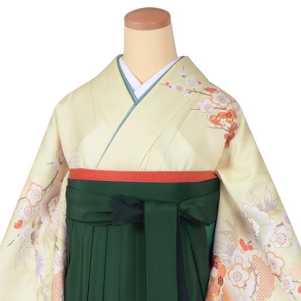 卒業式 袴レンタル 先生 教員 訪問着袴 フルセット 上品 黄色　松竹梅 HG759_3