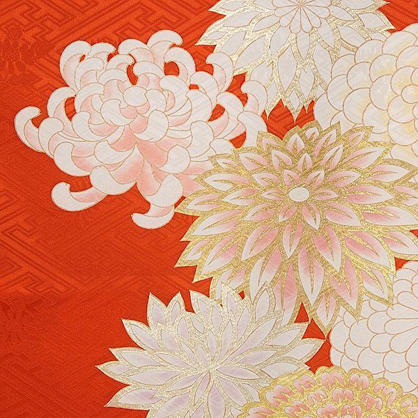卒業式 袴セット 朱色 絢爛菊華(絹)一点物 レンタル 大学生 振袖袴