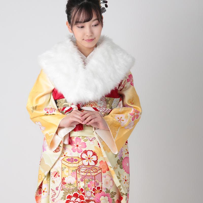 振袖 レンタル 成人式 結婚式 黄 吉祥菊牡丹に貝桶(絹)(R873)12月〜1月