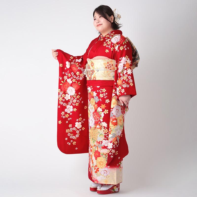 振袖 レンタル 成人式 結婚式 赤 熨斗に菊桜(絹)(特)(R1802)12月〜1月利用 対応身長150〜160cm RS1803の画像