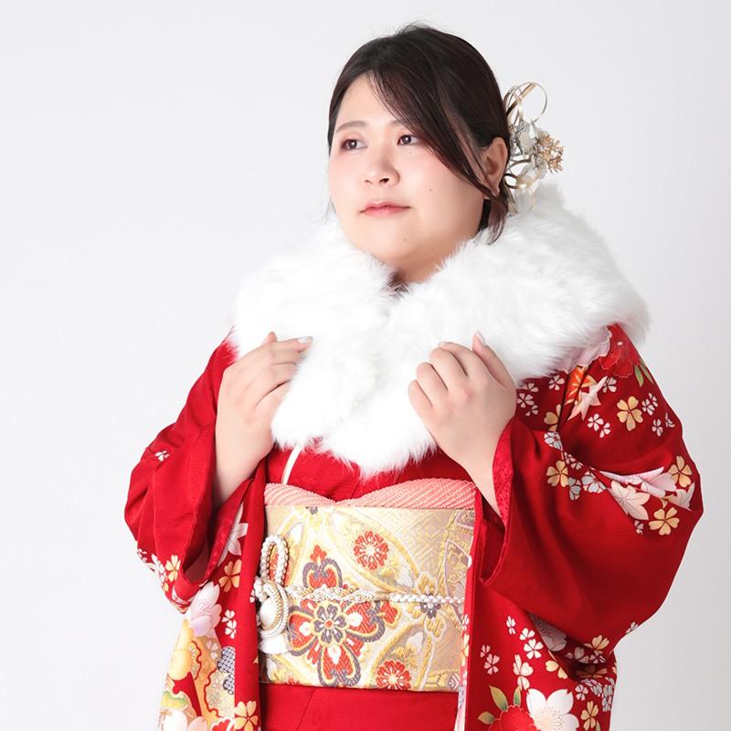振袖 レンタル 成人式 結婚式 赤 熨斗に菊桜(絹)(特)(R1802)12月〜1月利用 対応身長150〜160cm RS1803の画像