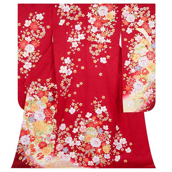 振袖 レンタル 成人式 結婚式 赤 熨斗に菊桜(絹)(特)(R1802)12月〜1月利用 対応身長150〜160cm RS1803の画像