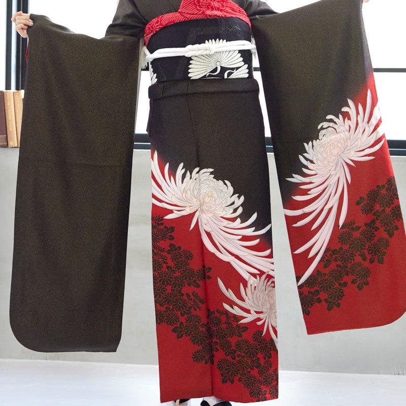 振袖 レンタル 成人式 結婚式 黒赤 白菊(絹) 一点物12月〜1月利用 対応