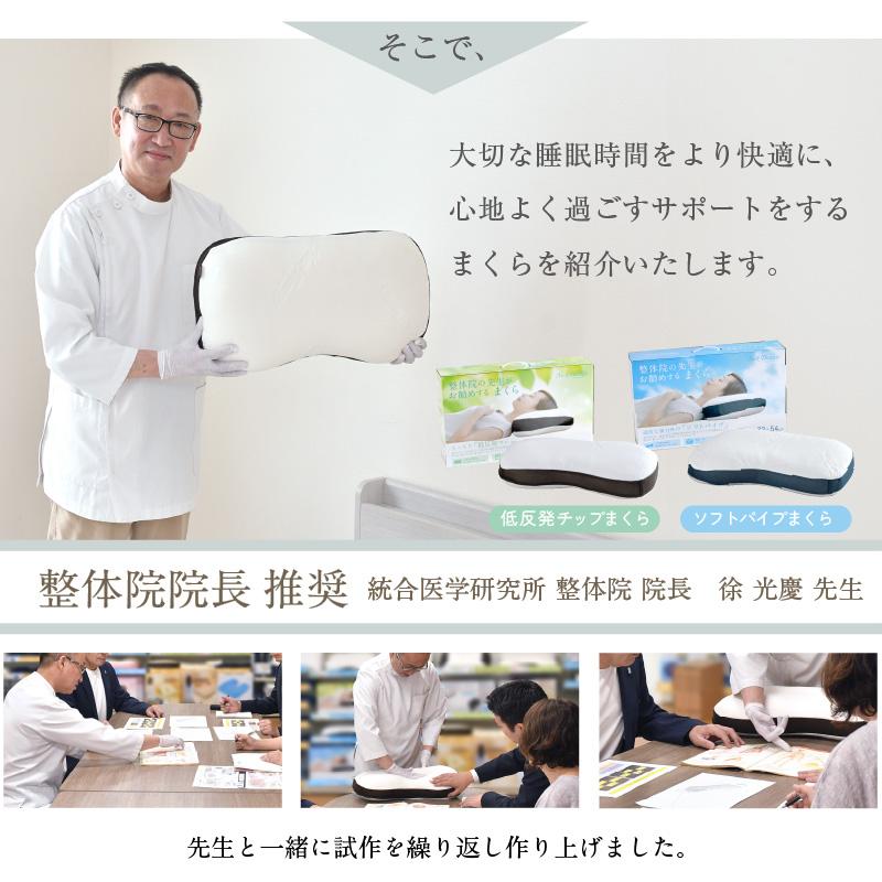 枕 まくら 整体 選べる2種 ソフトパイプ 低反発チップ 整体師が勧める