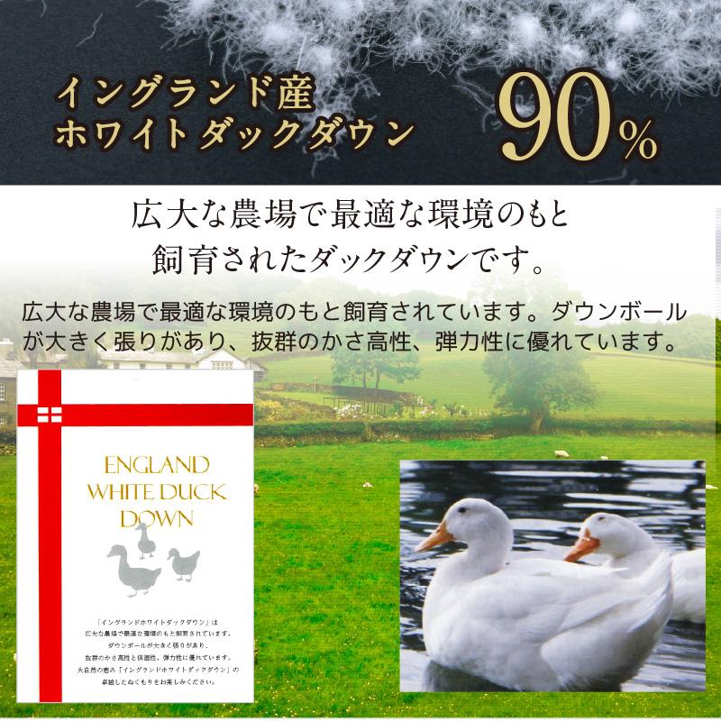 羽毛布団 クイーン 日本製 イングランド産 ホワイトダック ダウン90