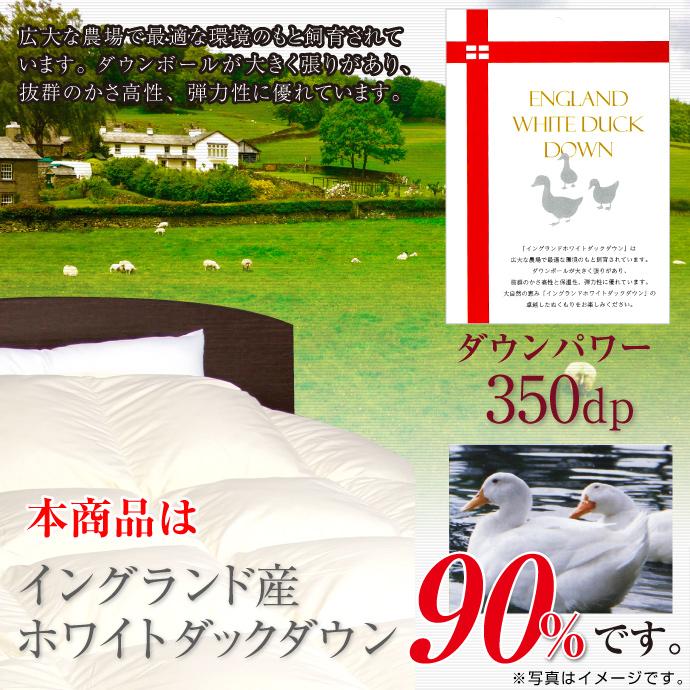 羽毛布団 クイーン 日本製 イングランド産 ホワイトダック ダウン90