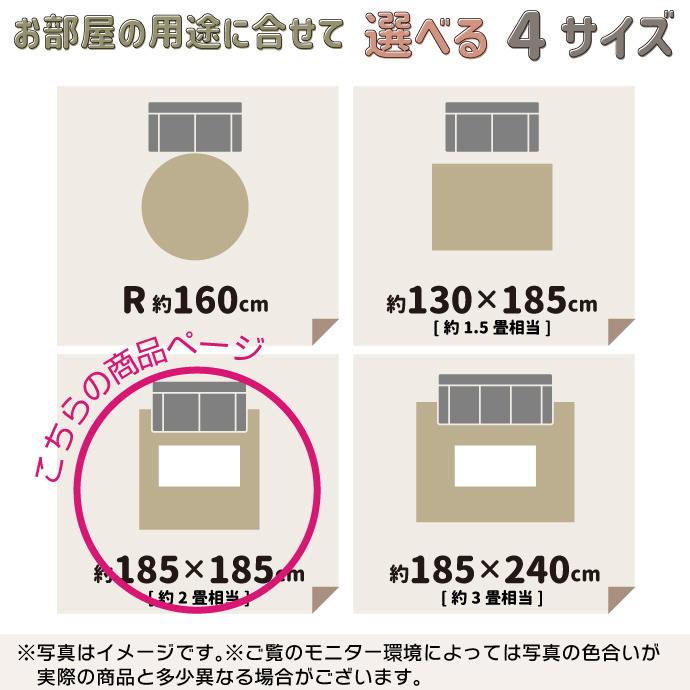 ラグ 185×185cm 約2畳 日本製 タフトラグ デタント 洗える 防炎 防ダニ