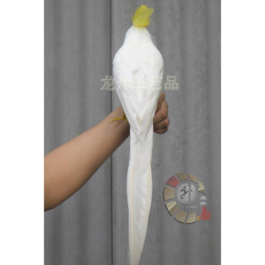 オウム 人形 キバタン ドール ぬいぐるみ 43cm 鳥 バード 置物 オブジェ かわいい 白い鳥 本物の羽 精巧 オブジェ 置き物 Tset 夢ショップ 通販 Yahoo ショッピング