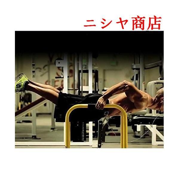 ディップススタンド 筋トレ 全身トレーニング 懸垂運動 斜め懸垂 自宅