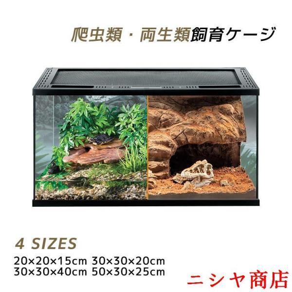 テラリウム 爬虫類 飼育 ケージ 両生類 カメ カニ グラステラリウム