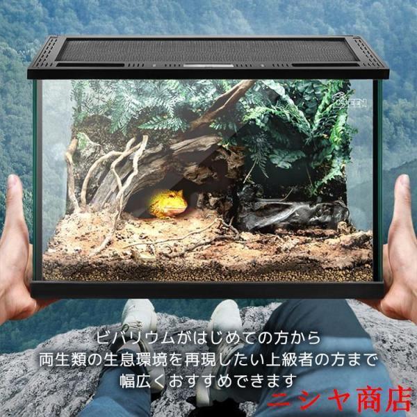 テラリウム 爬虫類 飼育 ケージ 両生類 カメ カニ グラステラリウム
