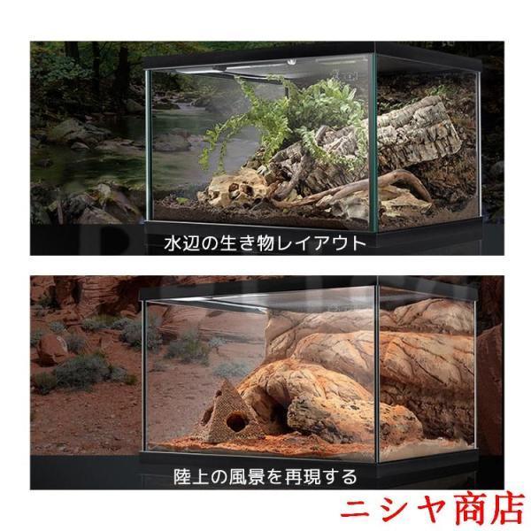 テラリウム 爬虫類 飼育 ケージ 両生類 カメ カニ グラステラリウム