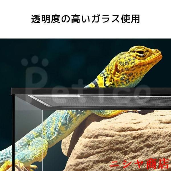 テラリウム 爬虫類 飼育 ケージ 両生類 カメ カニ グラステラリウム