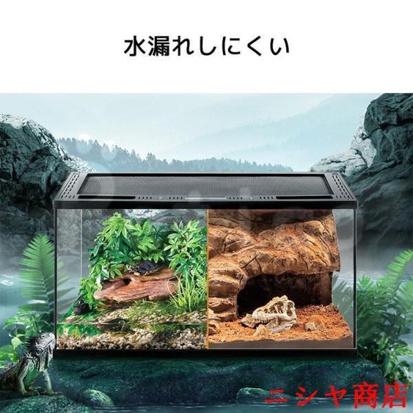 テラリウム 爬虫類 飼育 ケージ 両生類 カメ カニ グラステラリウム