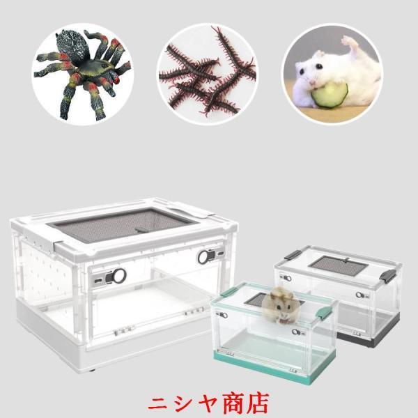 爬虫類 ケージ、折り畳み式爬虫類飼育ケージ、小型爬虫類 ケージ 透明