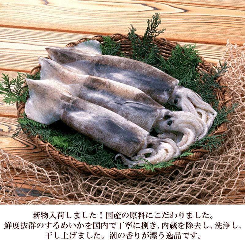 海と太陽 ＼ポイント15倍還元／＜国産するめ100g＞ スルメ するめ イカ